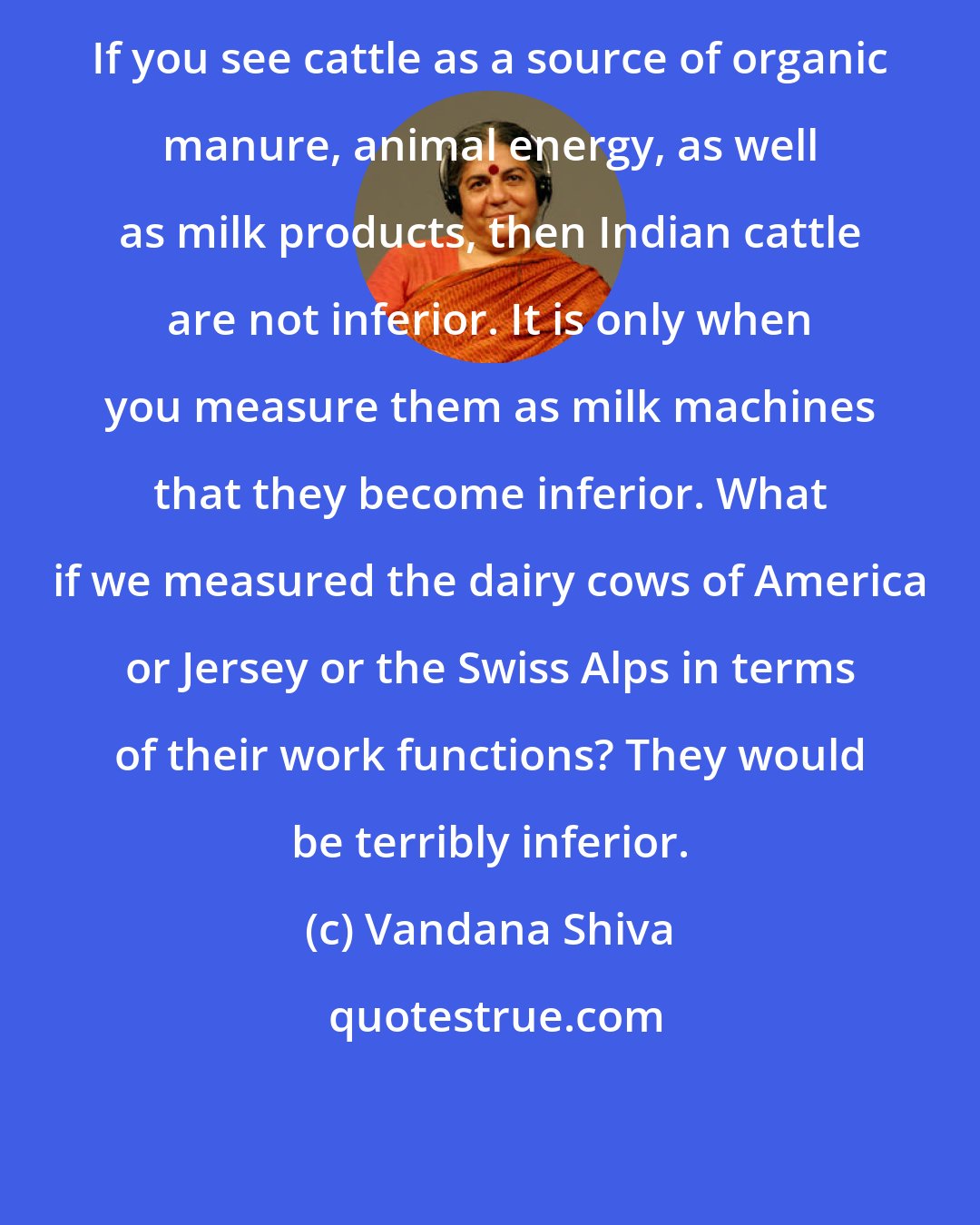 Vandana Shiva: If you see cattle as a source of organic manure, animal energy, as well as milk products, then Indian cattle are not inferior. It is only when you measure them as milk machines that they become inferior. What if we measured the dairy cows of America or Jersey or the Swiss Alps in terms of their work functions? They would be terribly inferior.