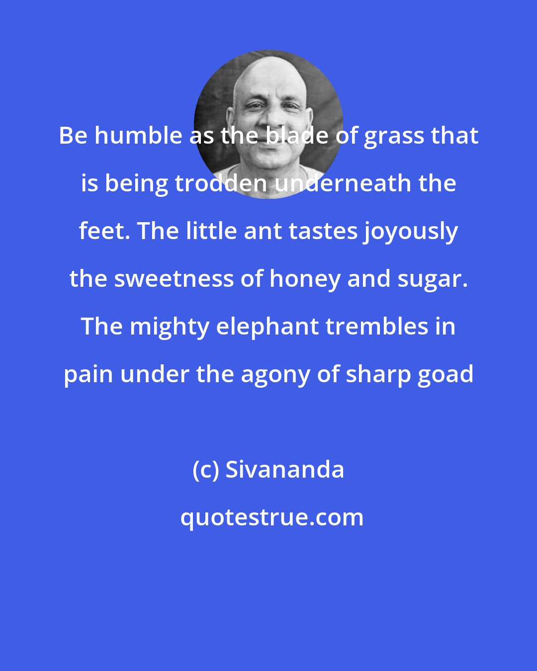 Sivananda: Be humble as the blade of grass that is being trodden underneath the feet. The little ant tastes joyously the sweetness of honey and sugar. The mighty elephant trembles in pain under the agony of sharp goad