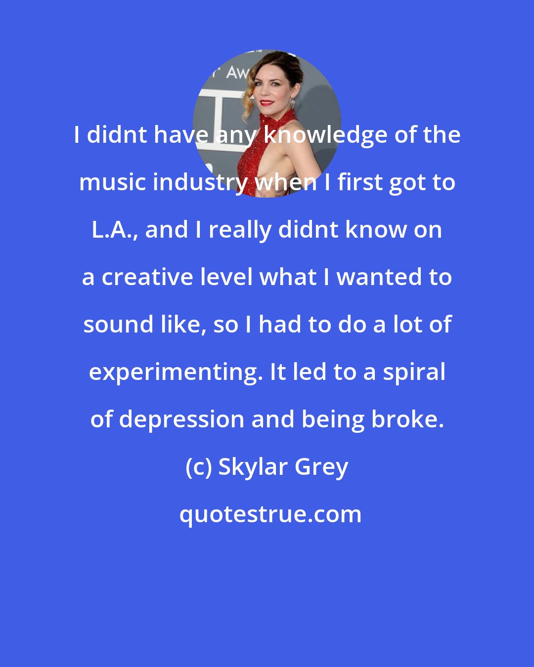 Skylar Grey: I didnt have any knowledge of the music industry when I first got to L.A., and I really didnt know on a creative level what I wanted to sound like, so I had to do a lot of experimenting. It led to a spiral of depression and being broke.