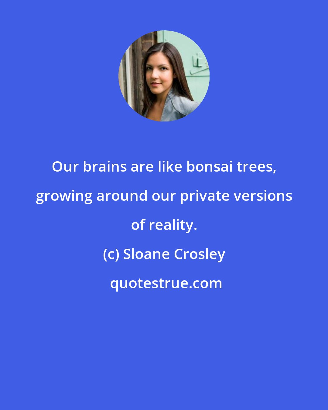 Sloane Crosley: Our brains are like bonsai trees, growing around our private versions of reality.