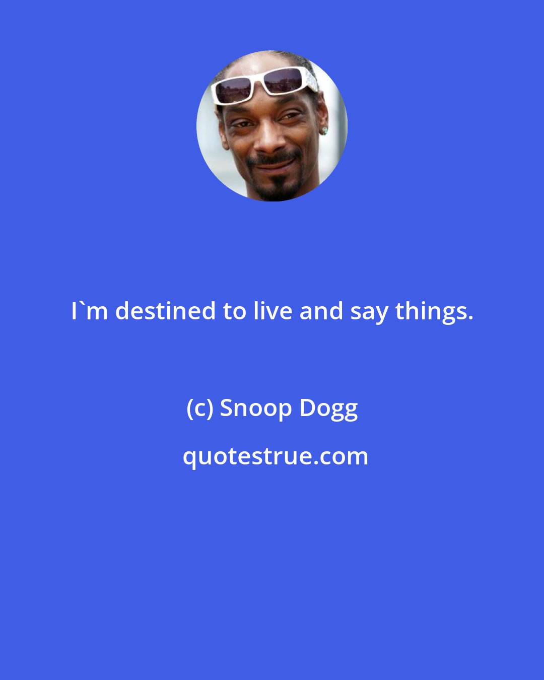 Snoop Dogg: I'm destined to live and say things.