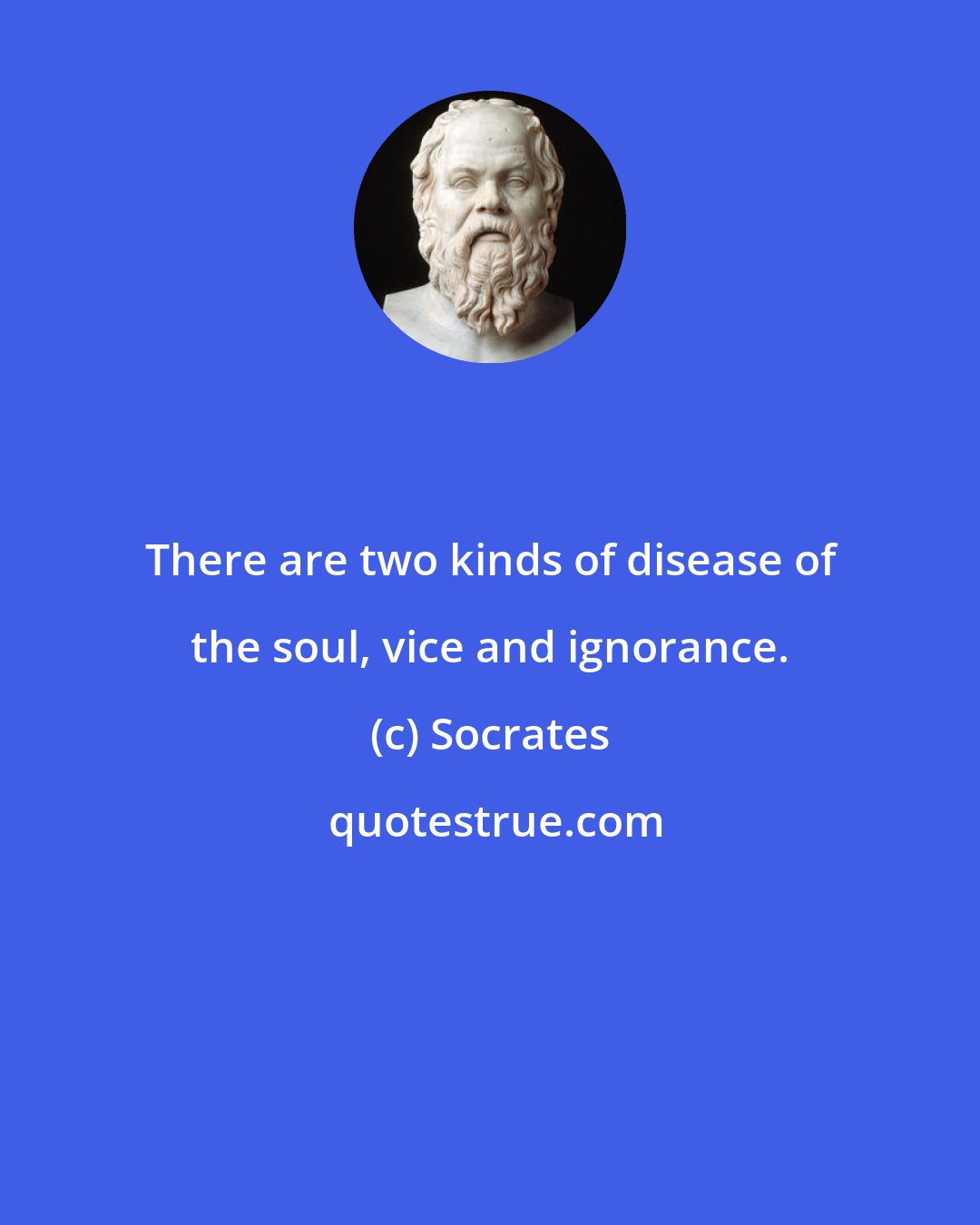 Socrates: There are two kinds of disease of the soul, vice and ignorance.