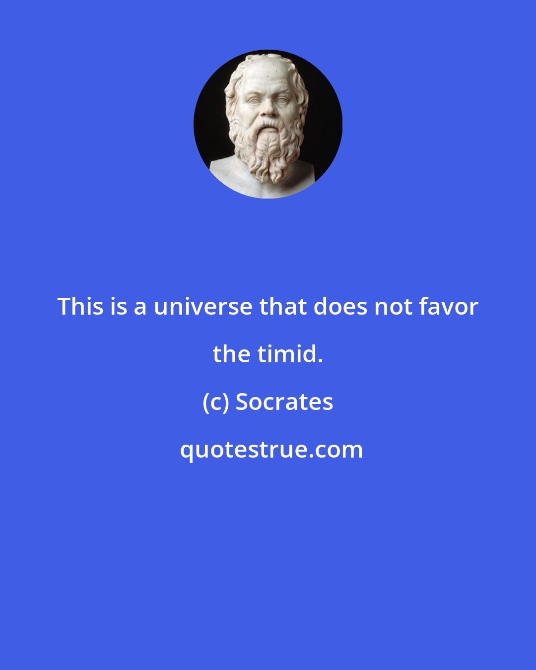 Socrates: This is a universe that does not favor the timid.