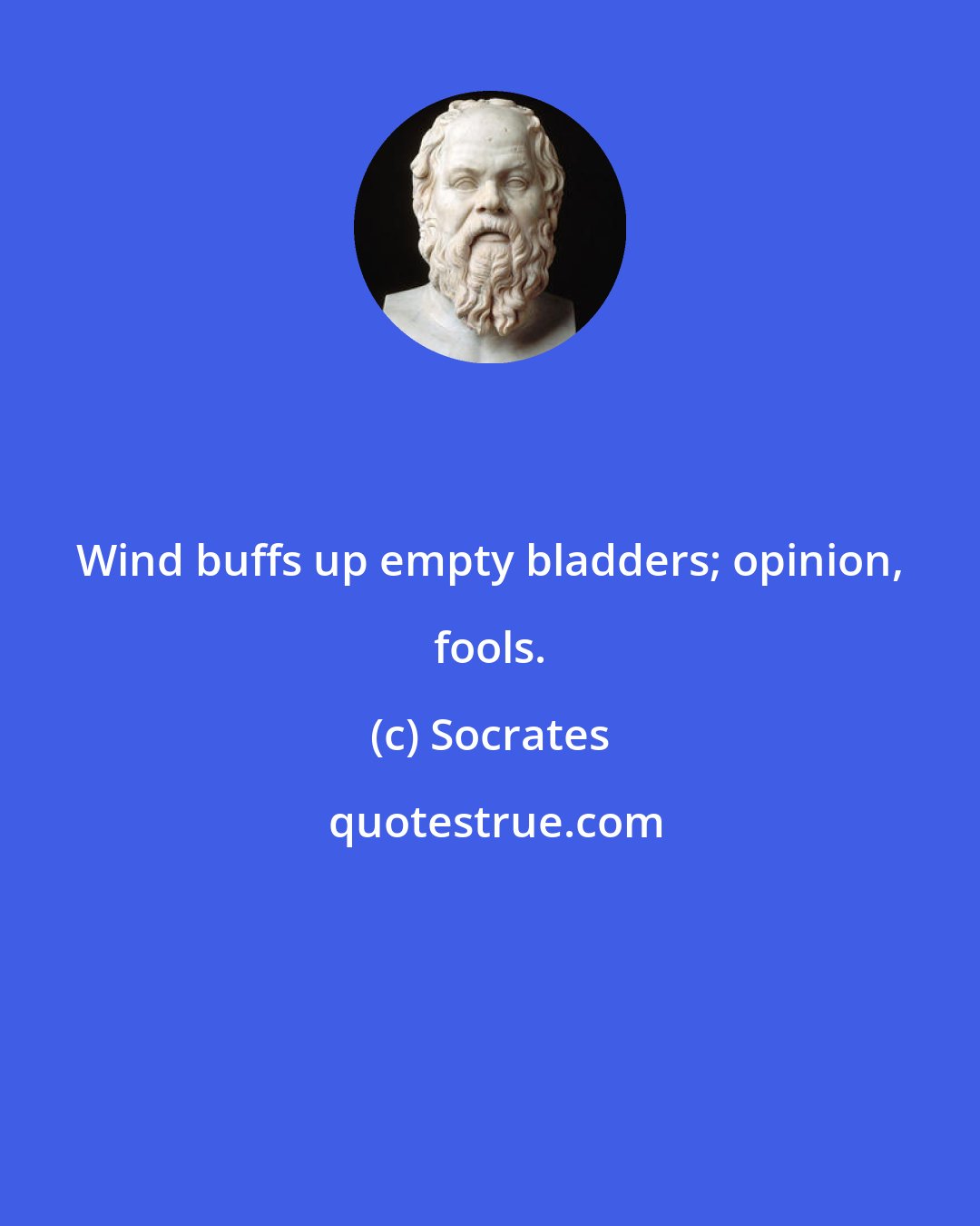 Socrates: Wind buffs up empty bladders; opinion, fools.