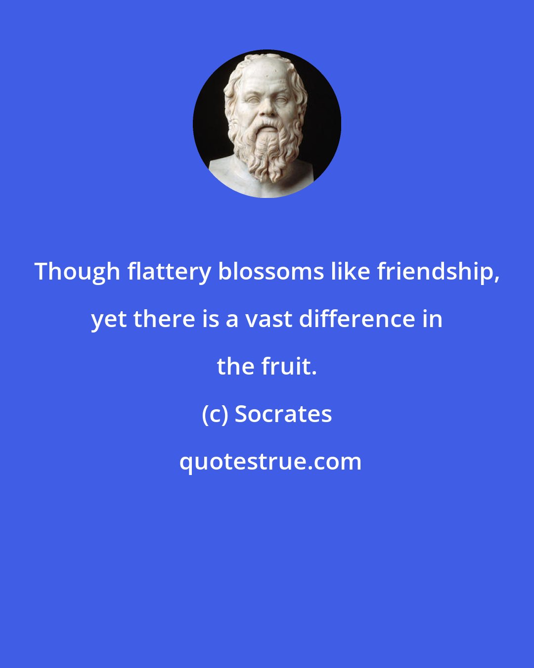 Socrates: Though flattery blossoms like friendship, yet there is a vast difference in the fruit.