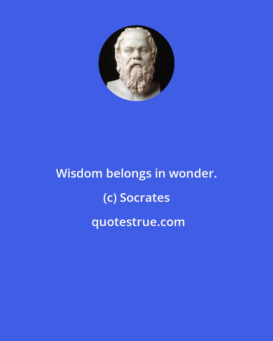 Socrates: Wisdom belongs in wonder.