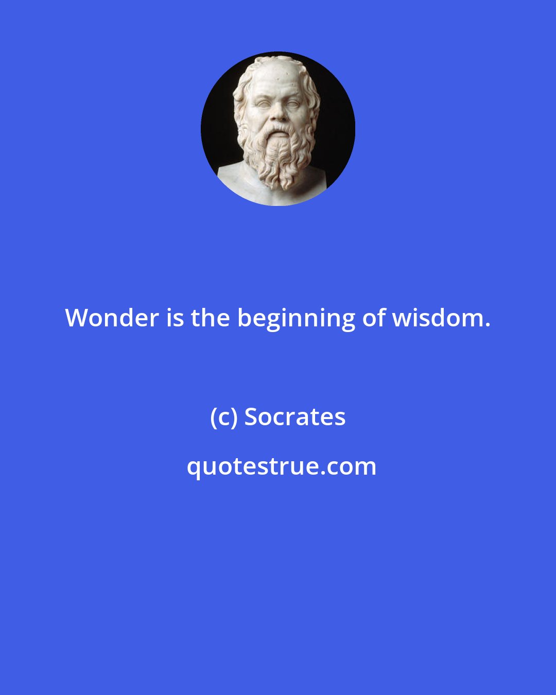 Socrates: Wonder is the beginning of wisdom.