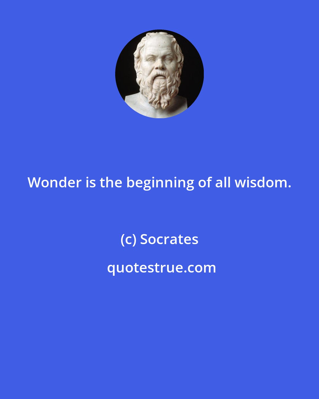 Socrates: Wonder is the beginning of all wisdom.