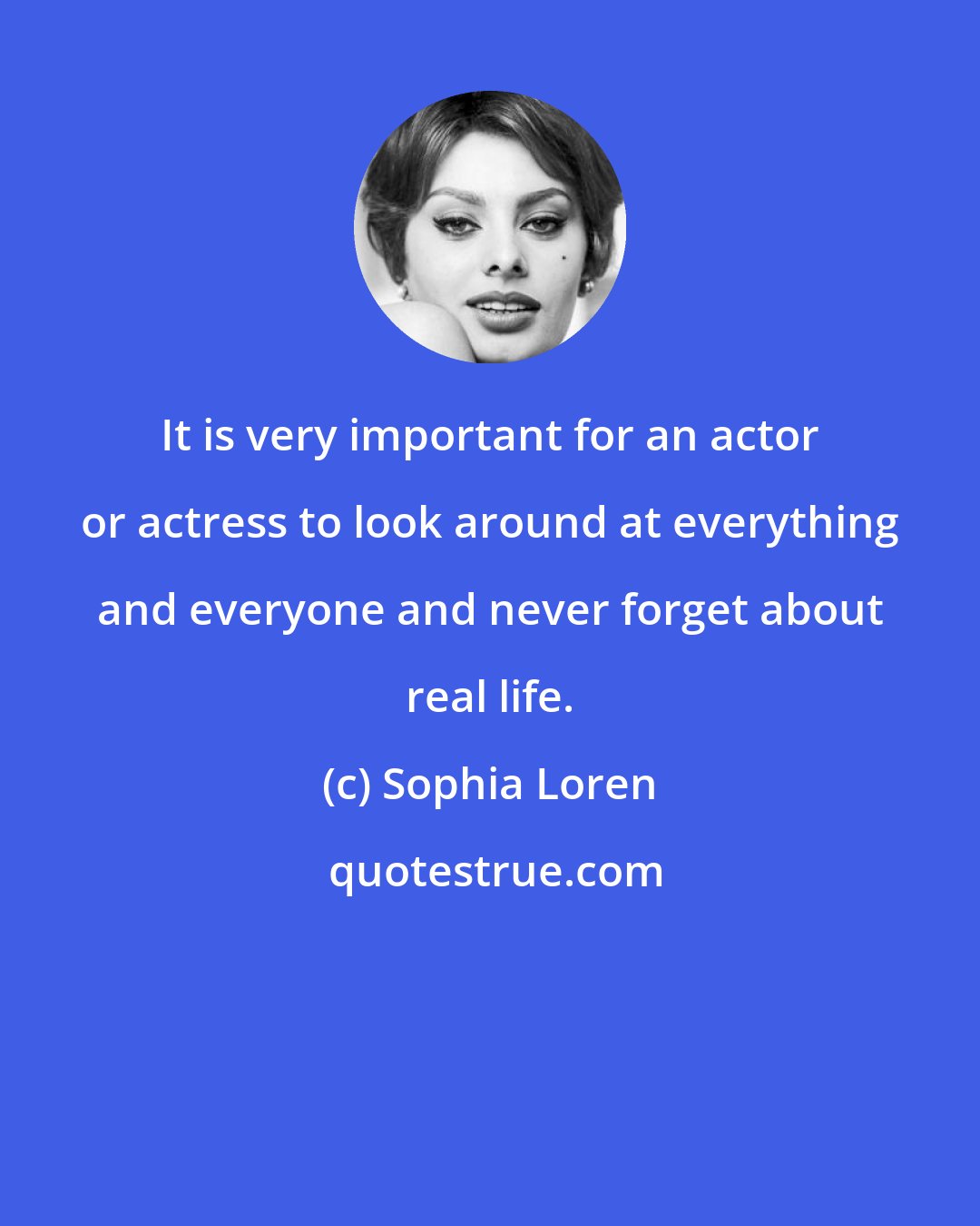 Sophia Loren: It is very important for an actor or actress to look around at everything and everyone and never forget about real life.