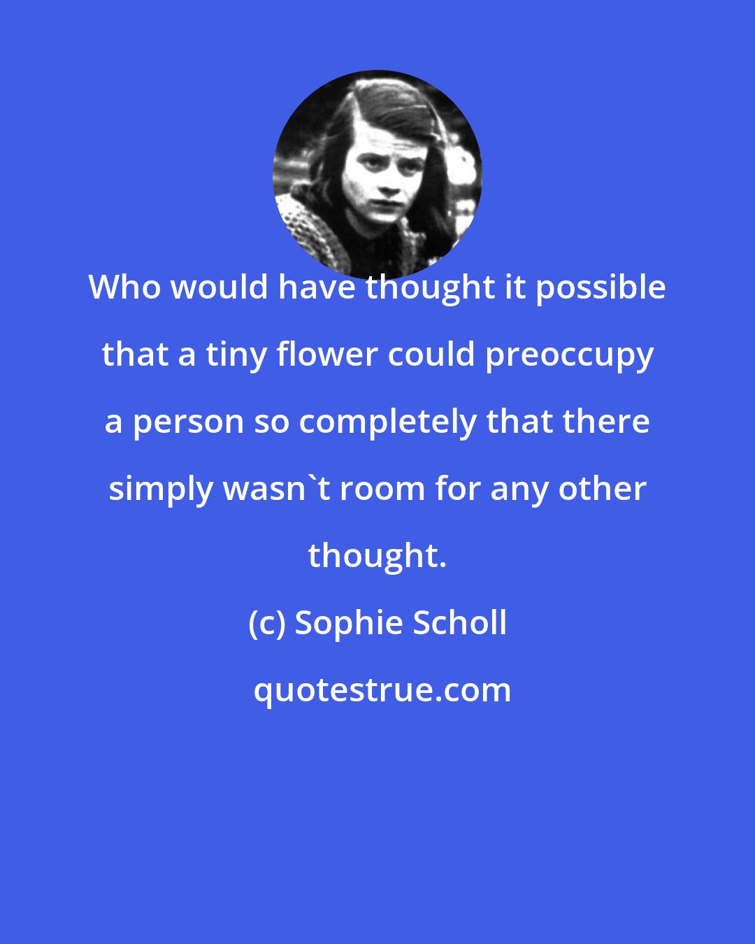 Sophie Scholl: Who would have thought it possible that a tiny flower could preoccupy a person so completely that there simply wasn't room for any other thought.