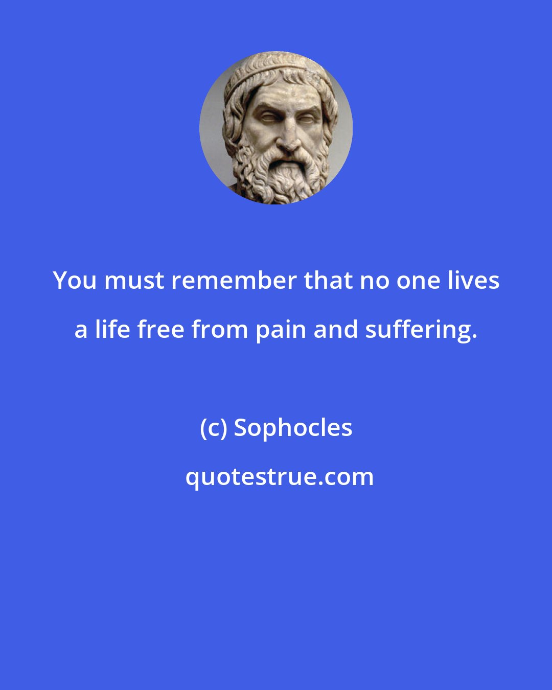 Sophocles: You must remember that no one lives a life free from pain and suffering.