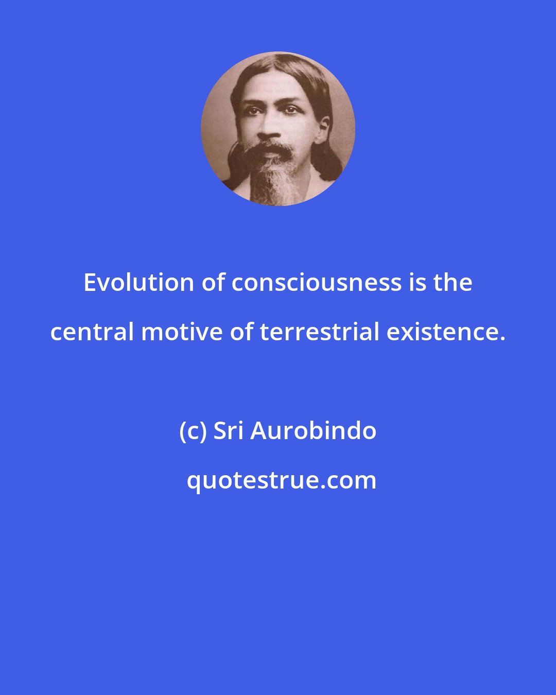 Sri Aurobindo: Evolution of consciousness is the central motive of terrestrial existence.