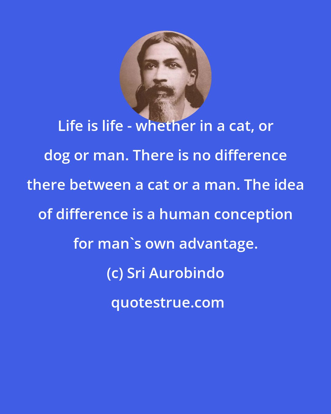 Sri Aurobindo: Life is life - whether in a cat, or dog or man. There is no difference there between a cat or a man. The idea of difference is a human conception for man's own advantage.