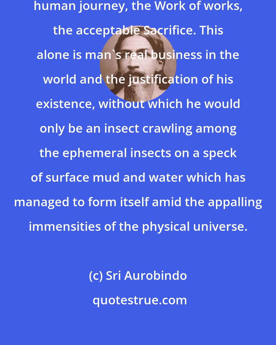 Sri Aurobindo: The ascent to the divine Life is the human journey, the Work of works, the acceptable Sacrifice. This alone is man's real business in the world and the justification of his existence, without which he would only be an insect crawling among the ephemeral insects on a speck of surface mud and water which has managed to form itself amid the appalling immensities of the physical universe.