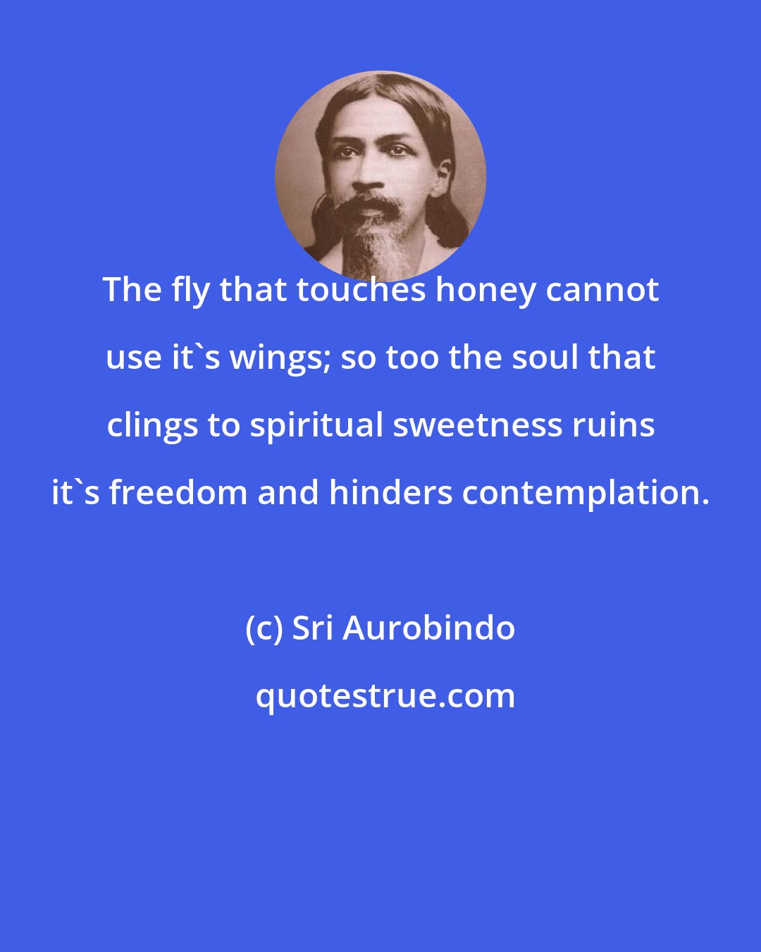 Sri Aurobindo: The fly that touches honey cannot use it's wings; so too the soul that clings to spiritual sweetness ruins it's freedom and hinders contemplation.