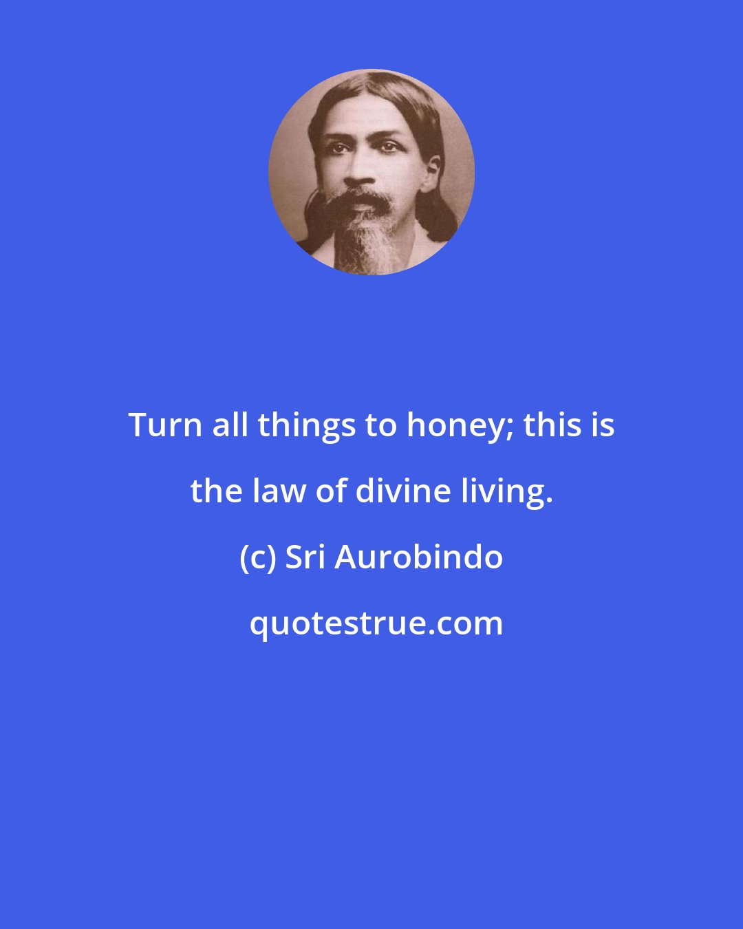 Sri Aurobindo: Turn all things to honey; this is the law of divine living.