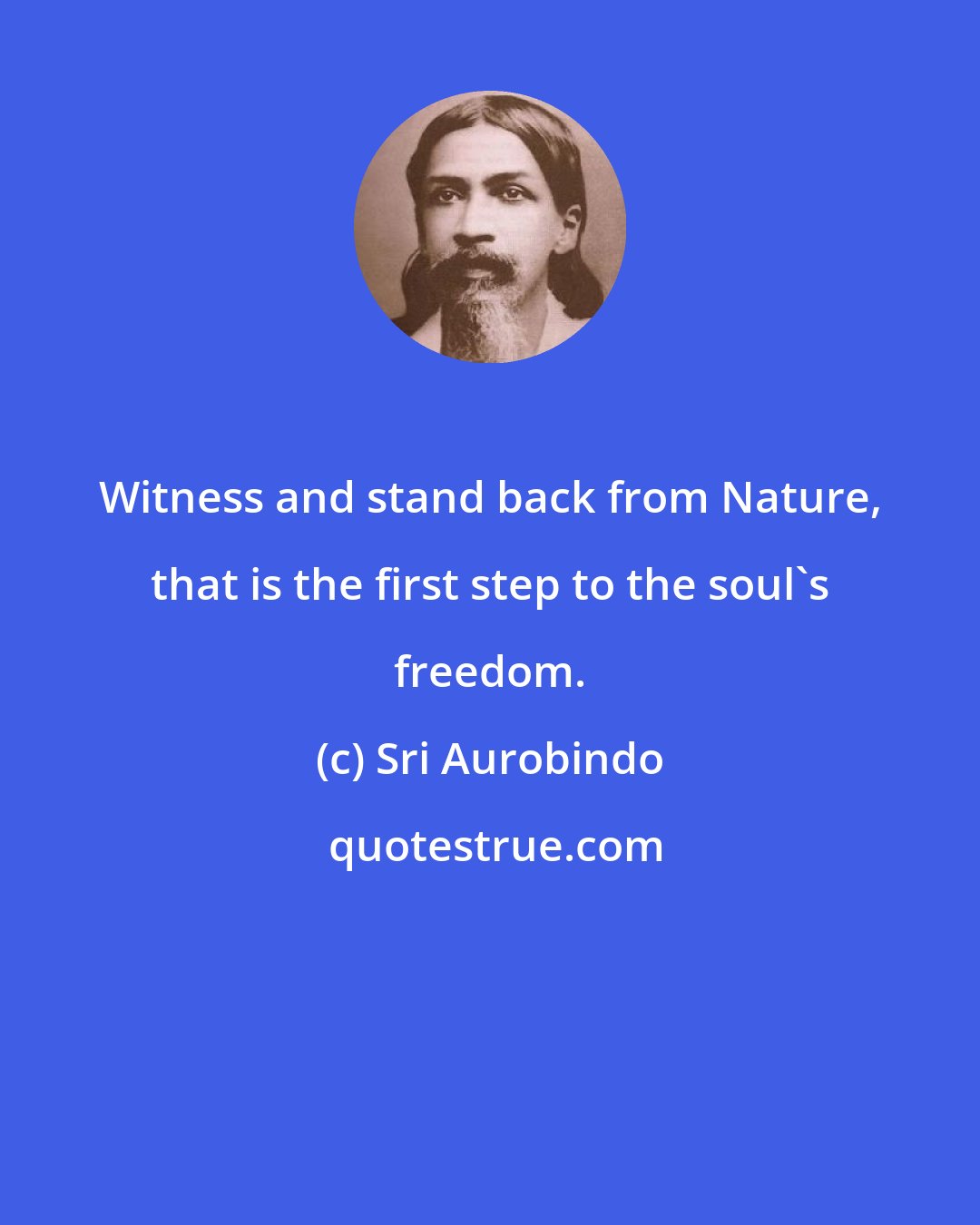 Sri Aurobindo: Witness and stand back from Nature, that is the first step to the soul's freedom.