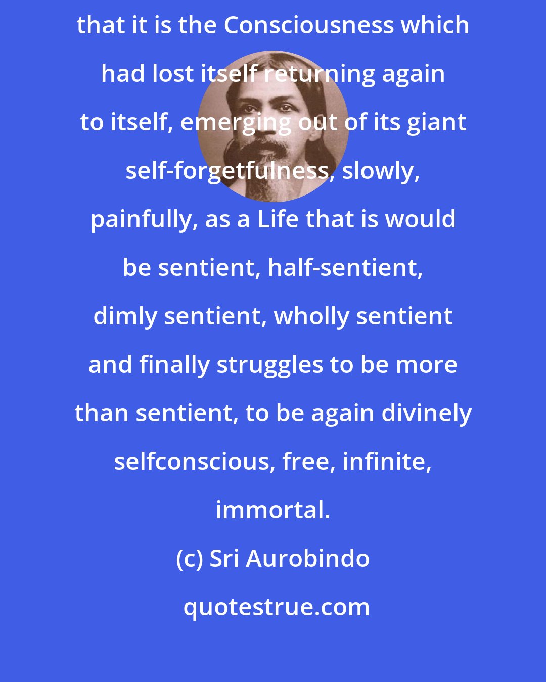 Sri Aurobindo: But what after all, behind appearances, is this seeming mystery? We can see that it is the Consciousness which had lost itself returning again to itself, emerging out of its giant self-forgetfulness, slowly, painfully, as a Life that is would be sentient, half-sentient, dimly sentient, wholly sentient and finally struggles to be more than sentient, to be again divinely selfconscious, free, infinite, immortal.