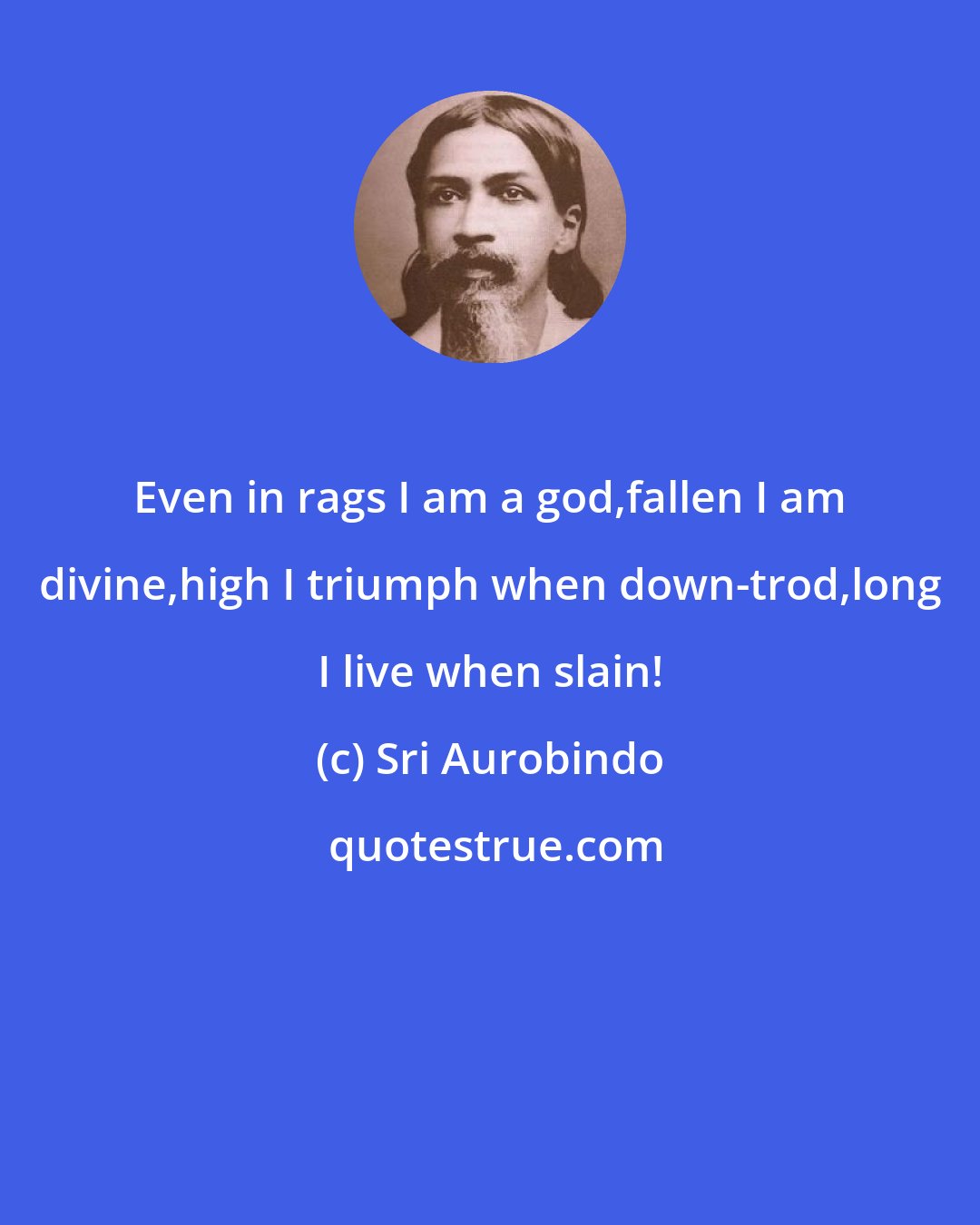 Sri Aurobindo: Even in rags I am a god,fallen I am divine,high I triumph when down-trod,long I live when slain!