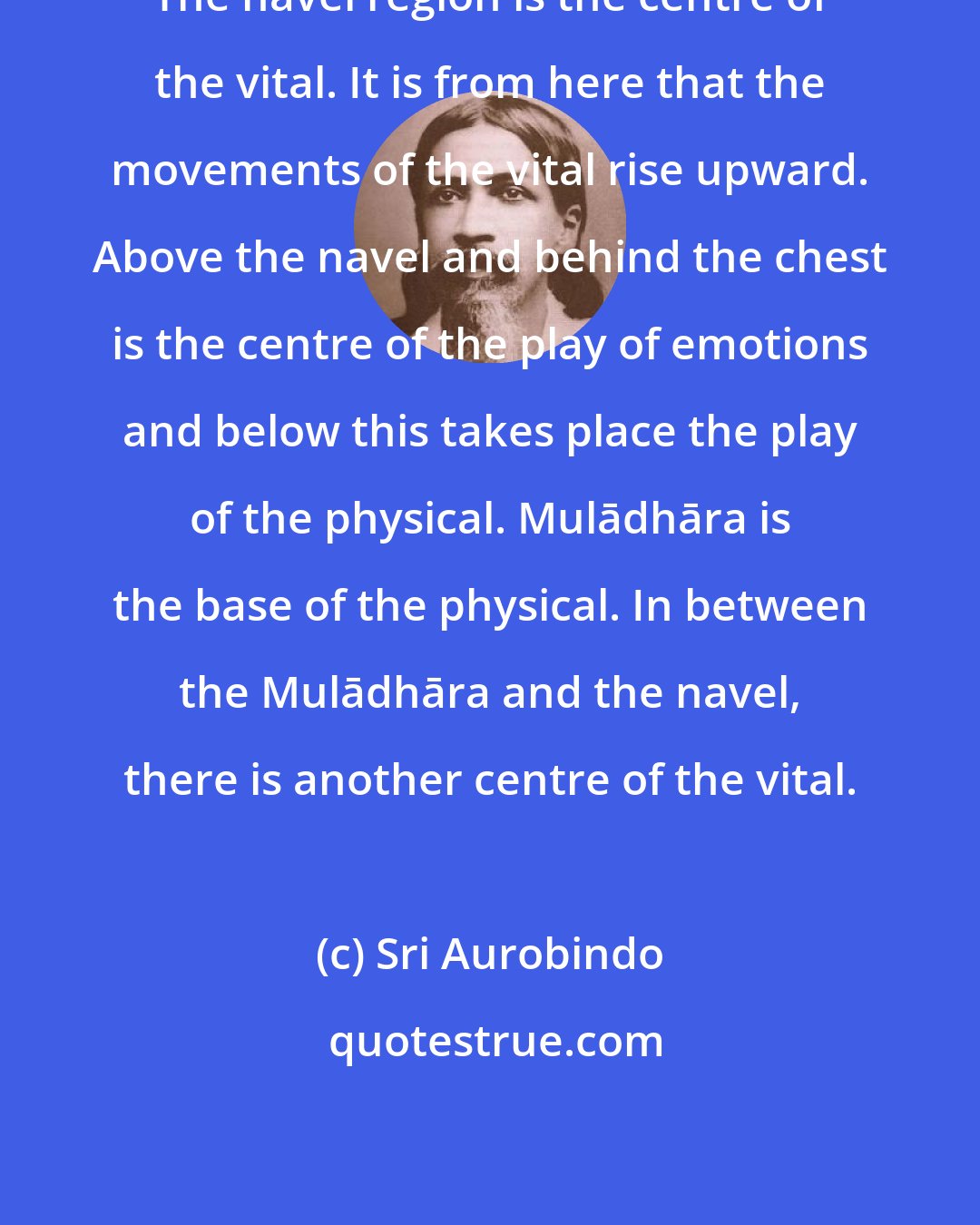 Sri Aurobindo: The navel region is the centre of the vital. It is from here that the movements of the vital rise upward. Above the navel and behind the chest is the centre of the play of emotions and below this takes place the play of the physical. Mulādhāra is the base of the physical. In between the Mulādhāra and the navel, there is another centre of the vital.