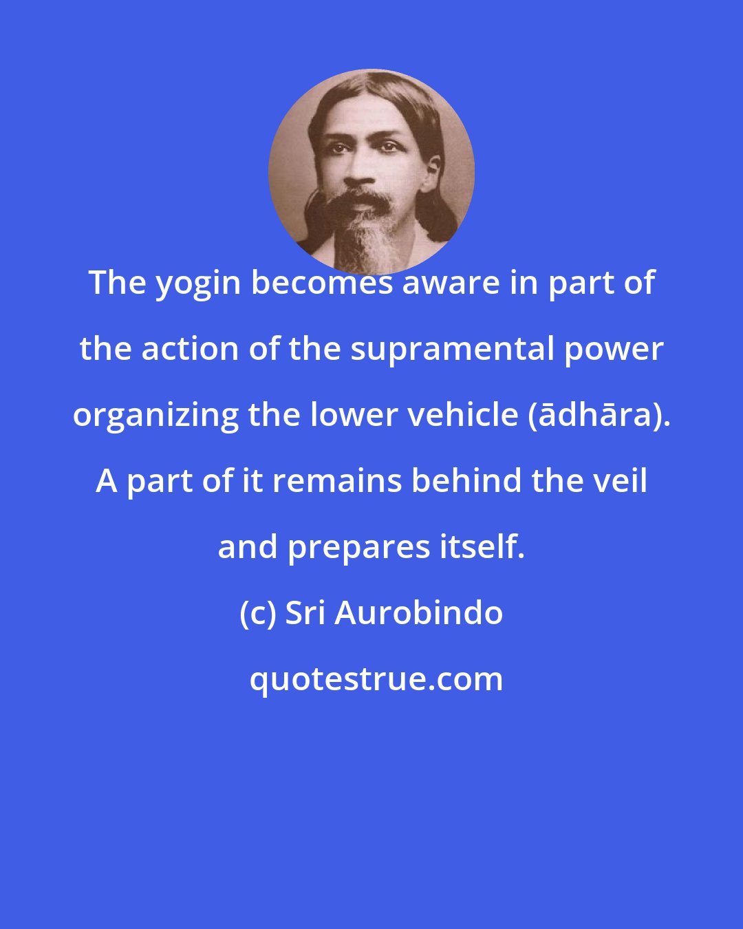 Sri Aurobindo: The yogin becomes aware in part of the action of the supramental power organizing the lower vehicle (ādhāra). A part of it remains behind the veil and prepares itself.