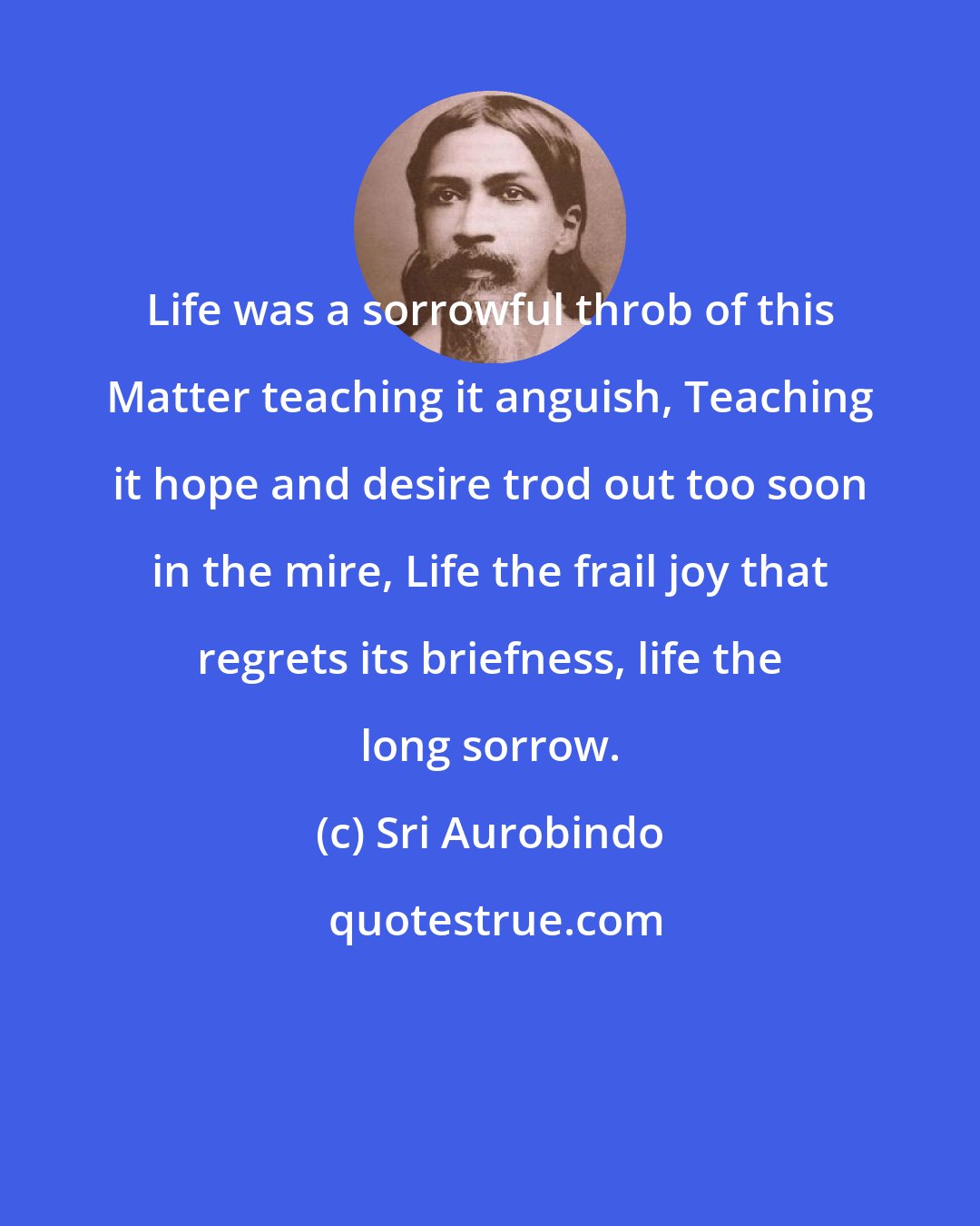 Sri Aurobindo: Life was a sorrowful throb of this Matter teaching it anguish, Teaching it hope and desire trod out too soon in the mire, Life the frail joy that regrets its briefness, life the long sorrow.