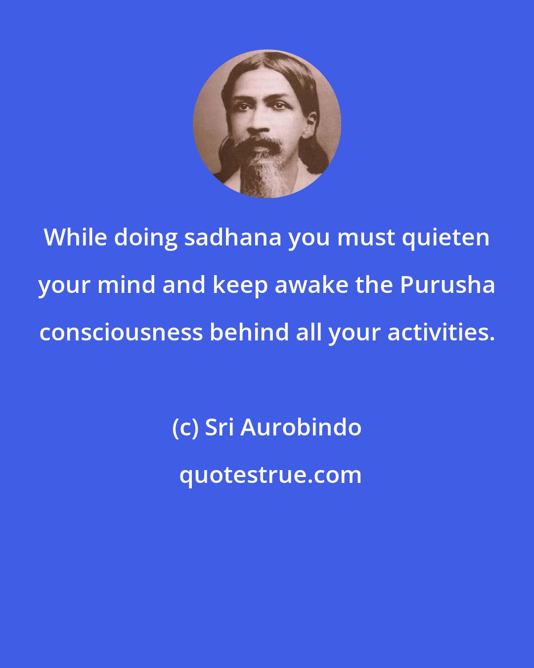 Sri Aurobindo: While doing sadhana you must quieten your mind and keep awake the Purusha consciousness behind all your activities.