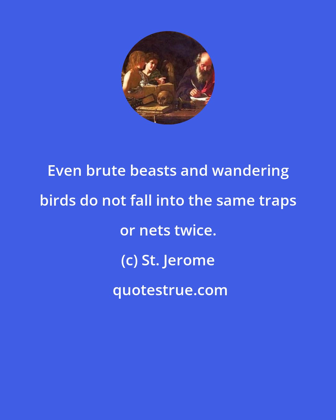 St. Jerome: Even brute beasts and wandering birds do not fall into the same traps or nets twice.