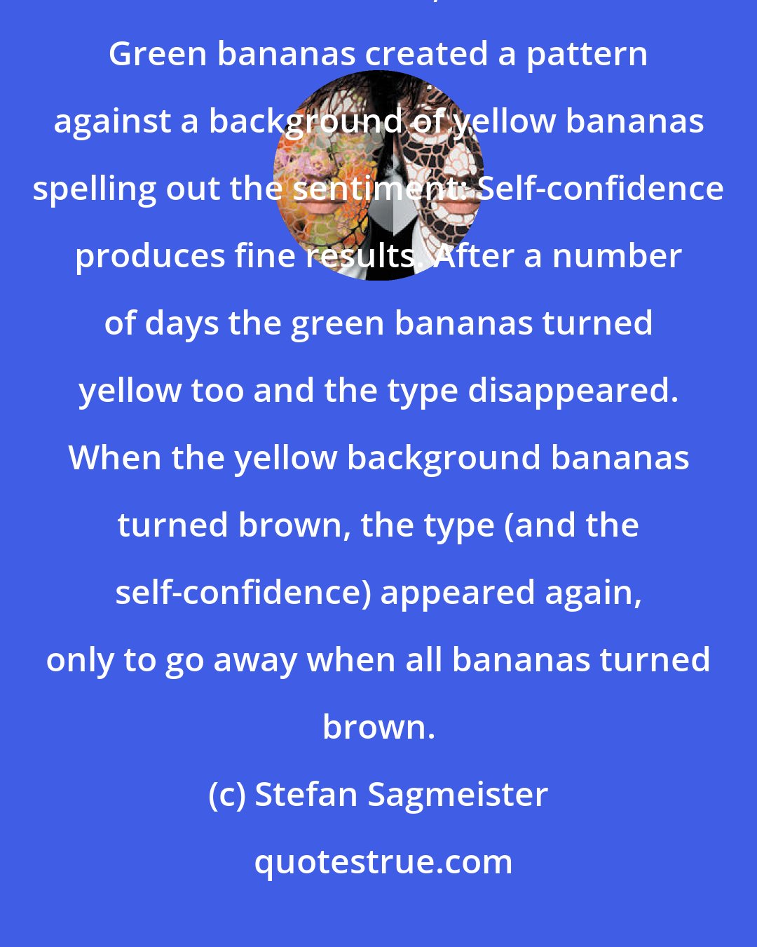 Stefan Sagmeister: At the opening of our exhibition at Deitch Projects in New York we featured a wall of 10,000 bananas. Green bananas created a pattern against a background of yellow bananas spelling out the sentiment: Self-confidence produces fine results. After a number of days the green bananas turned yellow too and the type disappeared. When the yellow background bananas turned brown, the type (and the self-confidence) appeared again, only to go away when all bananas turned brown.