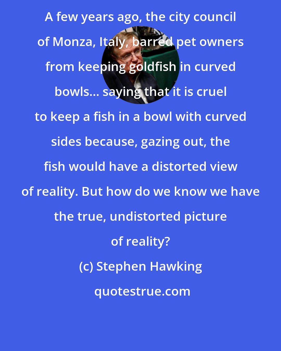 Stephen Hawking: A few years ago, the city council of Monza, Italy, barred pet owners from keeping goldfish in curved bowls... saying that it is cruel to keep a fish in a bowl with curved sides because, gazing out, the fish would have a distorted view of reality. But how do we know we have the true, undistorted picture of reality?