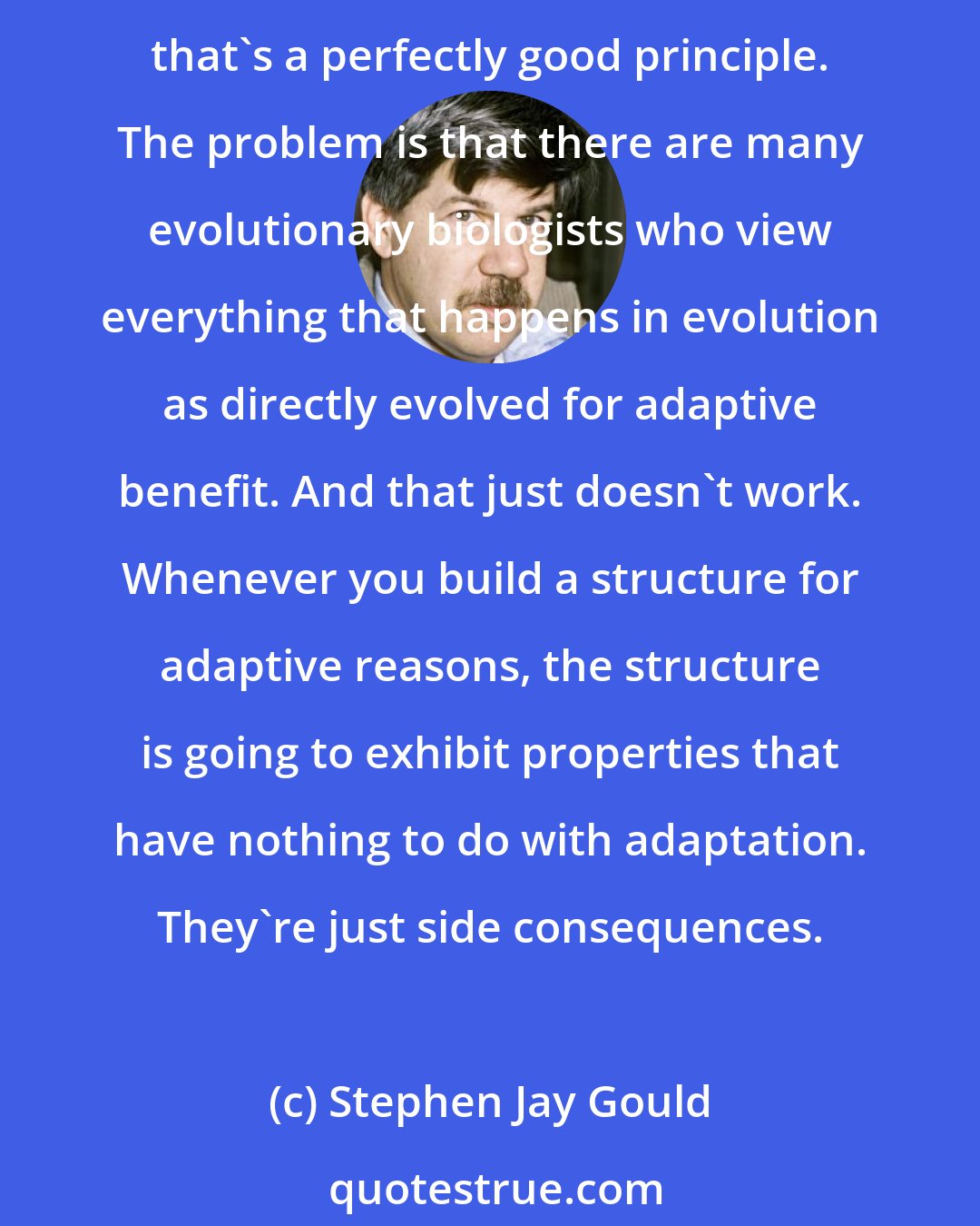 Stephen Jay Gould: Darwin's principle of natural selection leads to the prediction that the proper way to analyze any evolutionary development is to see the new features as adaptive to environments. And that's a perfectly good principle. The problem is that there are many evolutionary biologists who view everything that happens in evolution as directly evolved for adaptive benefit. And that just doesn't work. Whenever you build a structure for adaptive reasons, the structure is going to exhibit properties that have nothing to do with adaptation. They're just side consequences.