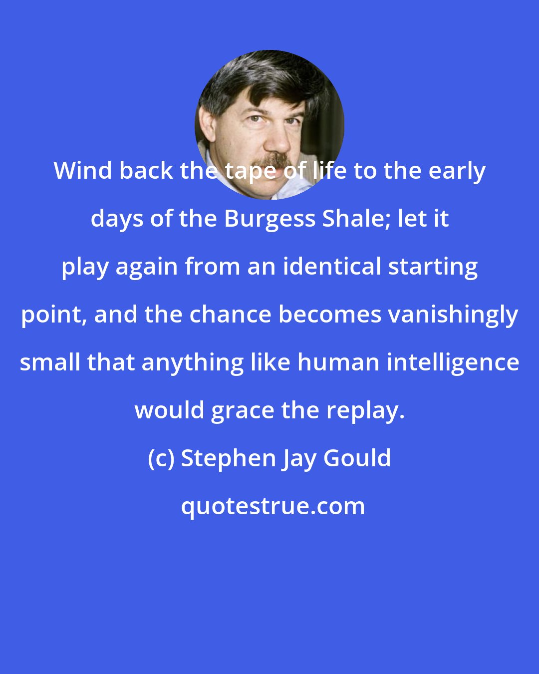 Stephen Jay Gould: Wind back the tape of life to the early days of the Burgess Shale; let it play again from an identical starting point, and the chance becomes vanishingly small that anything like human intelligence would grace the replay.