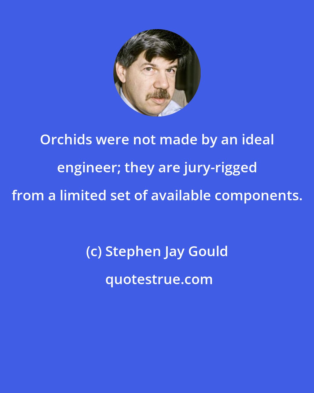 Stephen Jay Gould: Orchids were not made by an ideal engineer; they are jury-rigged from a limited set of available components.