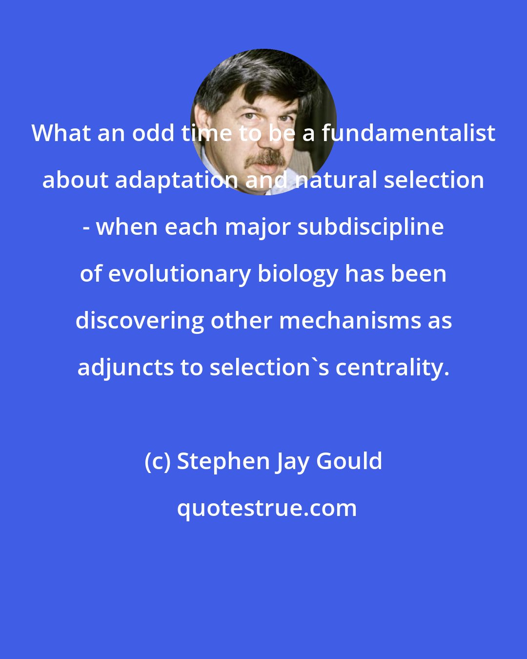 Stephen Jay Gould: What an odd time to be a fundamentalist about adaptation and natural selection - when each major subdiscipline of evolutionary biology has been discovering other mechanisms as adjuncts to selection's centrality.