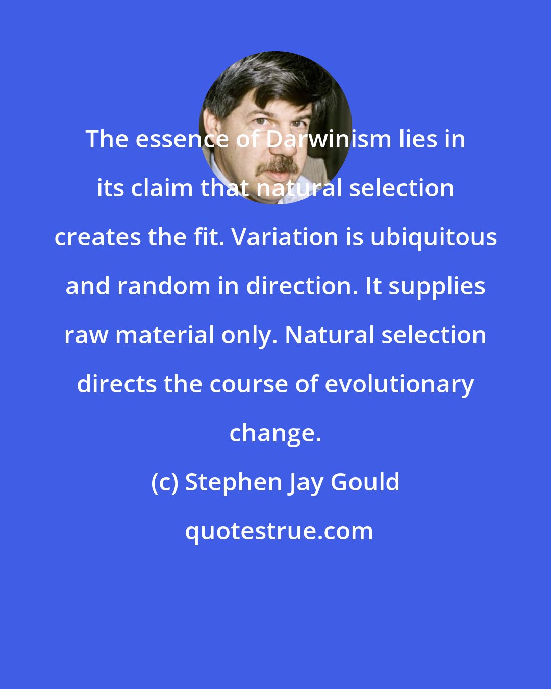 Stephen Jay Gould: The essence of Darwinism lies in its claim that natural selection creates the fit. Variation is ubiquitous and random in direction. It supplies raw material only. Natural selection directs the course of evolutionary change.