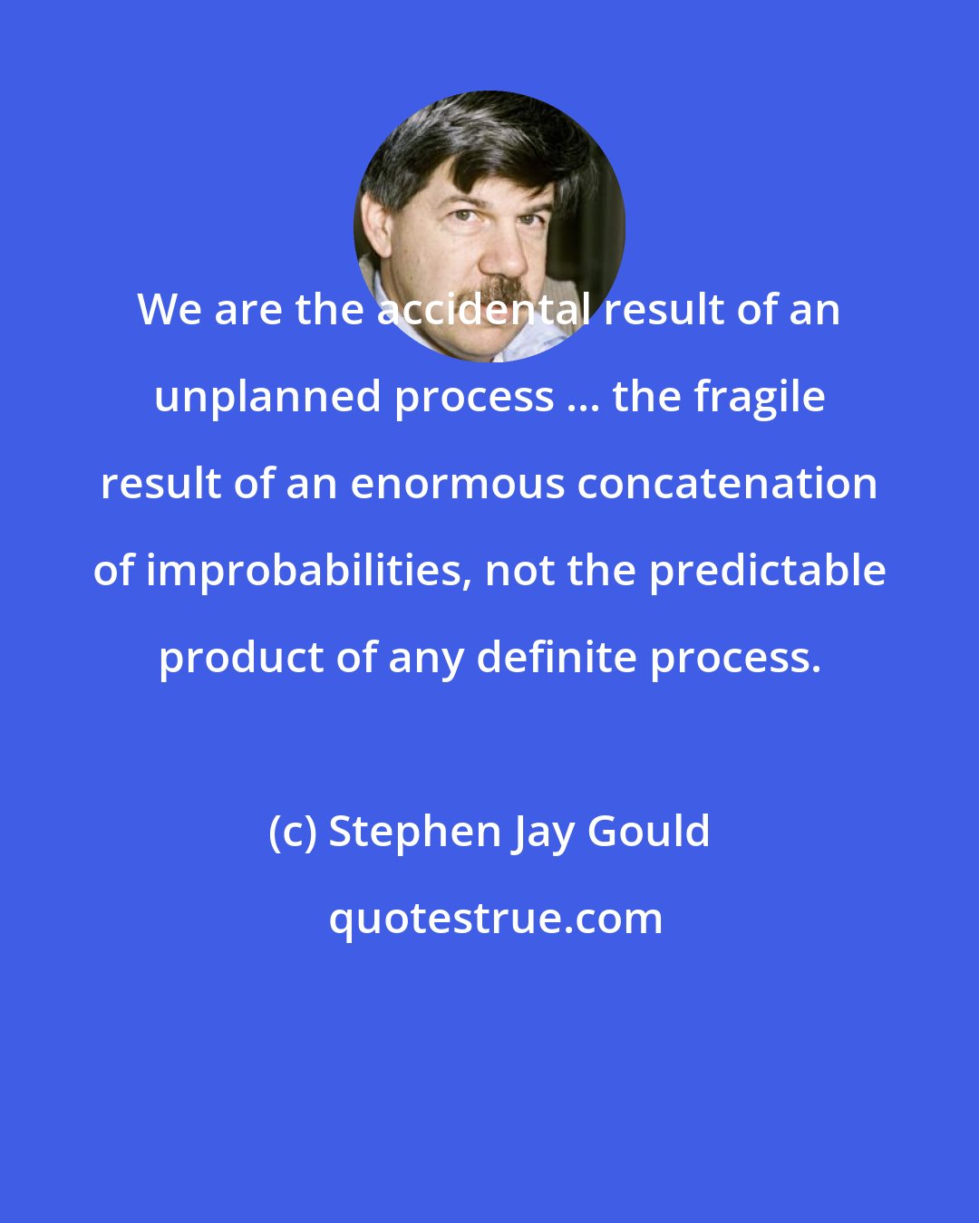 Stephen Jay Gould: We are the accidental result of an unplanned process ... the fragile result of an enormous concatenation of improbabilities, not the predictable product of any definite process.