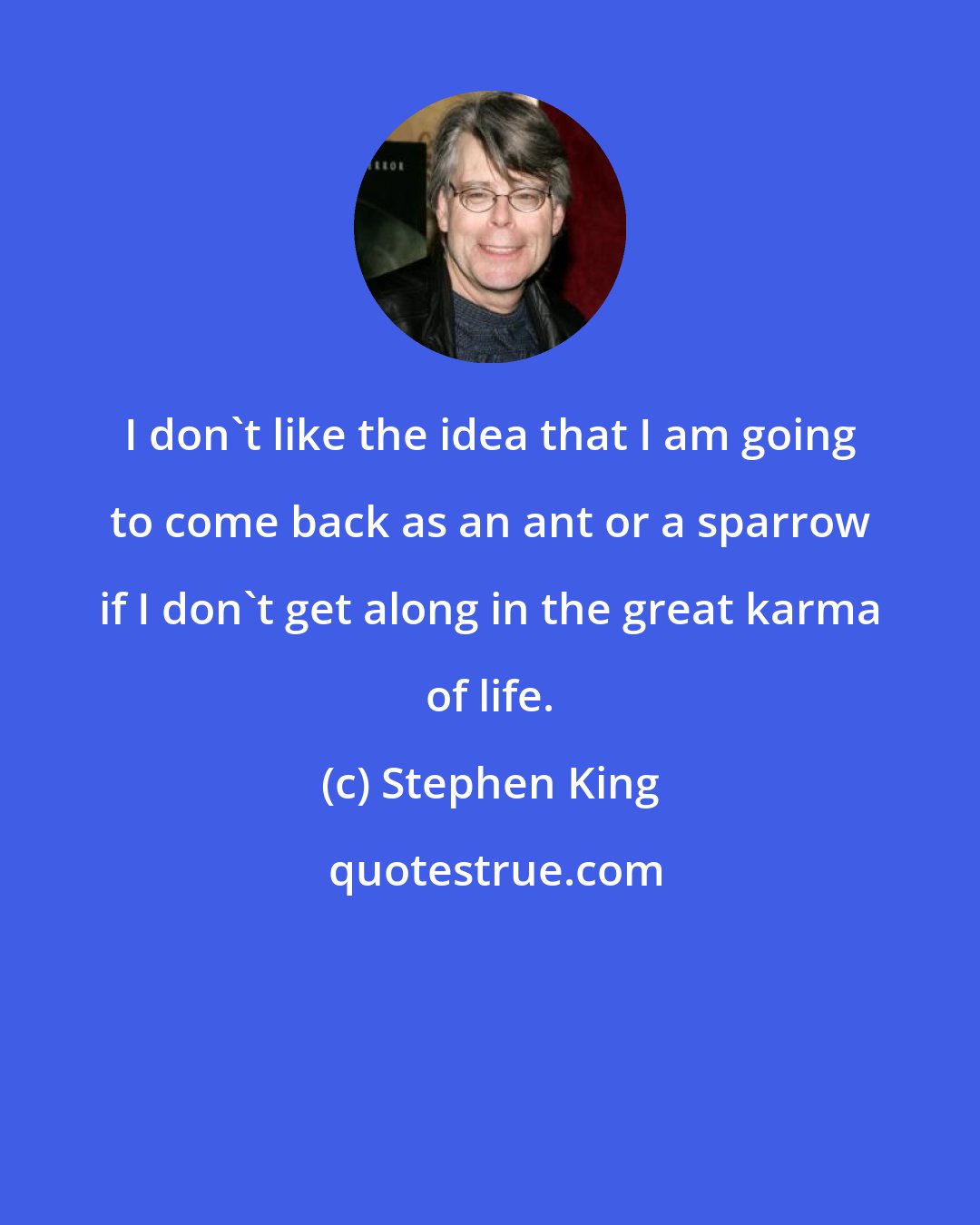 Stephen King: I don't like the idea that I am going to come back as an ant or a sparrow if I don't get along in the great karma of life.