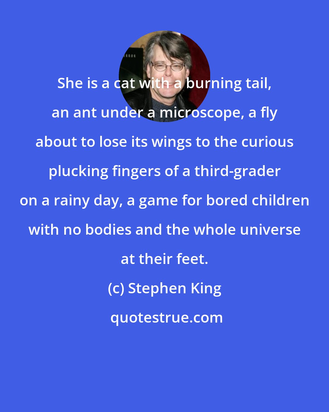 Stephen King: She is a cat with a burning tail, an ant under a microscope, a fly about to lose its wings to the curious plucking fingers of a third-grader on a rainy day, a game for bored children with no bodies and the whole universe at their feet.