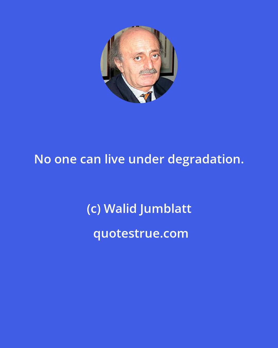 Walid Jumblatt: No one can live under degradation.