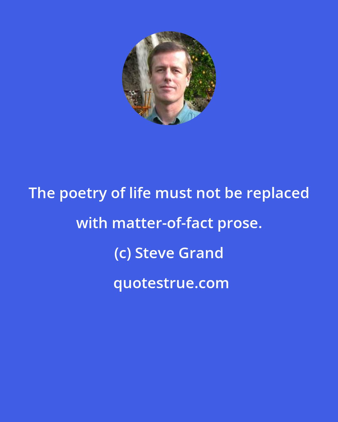 Steve Grand: The poetry of life must not be replaced with matter-of-fact prose.