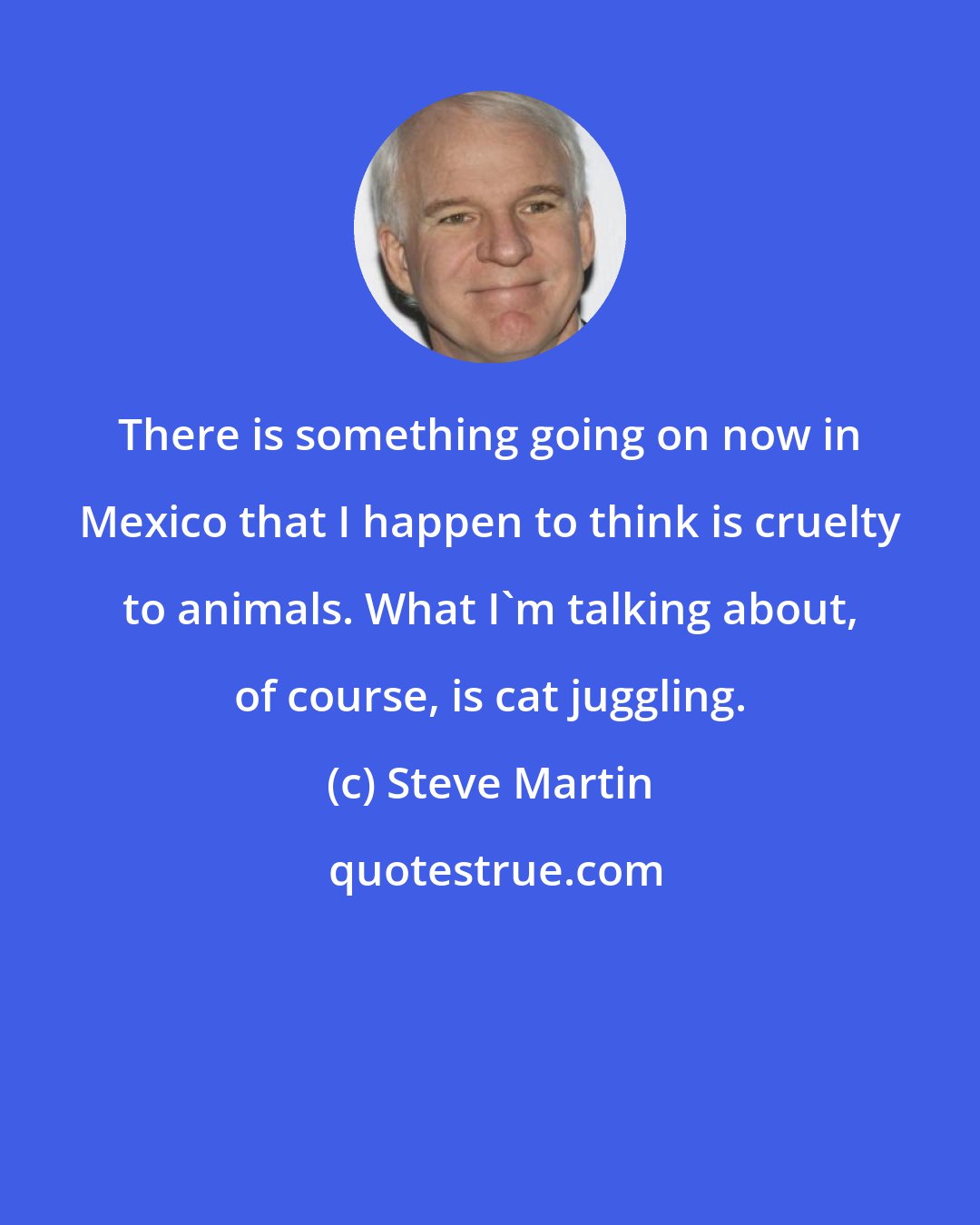 Steve Martin: There is something going on now in Mexico that I happen to think is cruelty to animals. What I'm talking about, of course, is cat juggling.