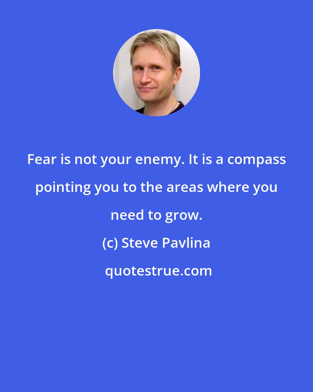 Steve Pavlina: Fear is not your enemy. It is a compass pointing you to the areas where you need to grow.