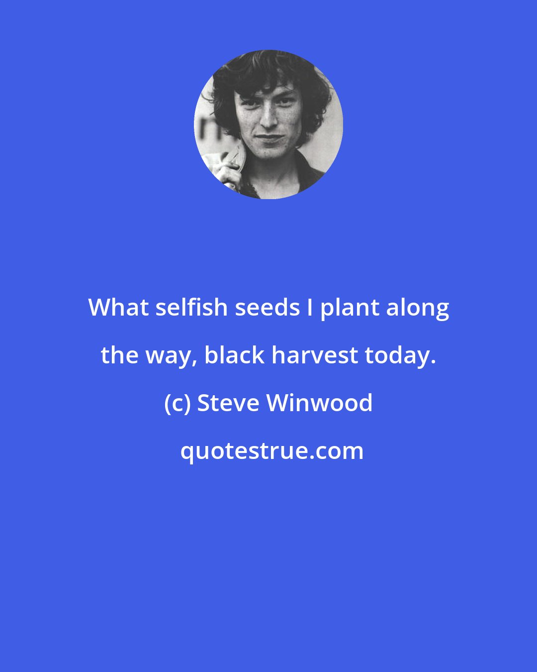 Steve Winwood: What selfish seeds I plant along the way, black harvest today.