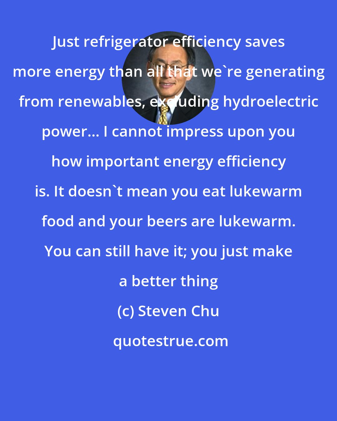 Steven Chu: Just refrigerator efficiency saves more energy than all that we're generating from renewables, excluding hydroelectric power... I cannot impress upon you how important energy efficiency is. It doesn't mean you eat lukewarm food and your beers are lukewarm. You can still have it; you just make a better thing