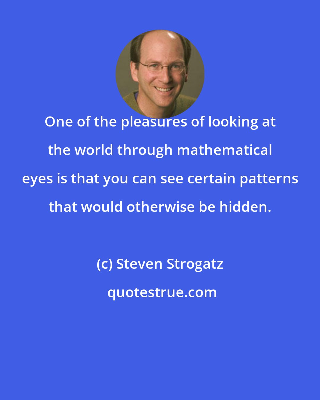 Steven Strogatz: One of the pleasures of looking at the world through mathematical eyes is that you can see certain patterns that would otherwise be hidden.