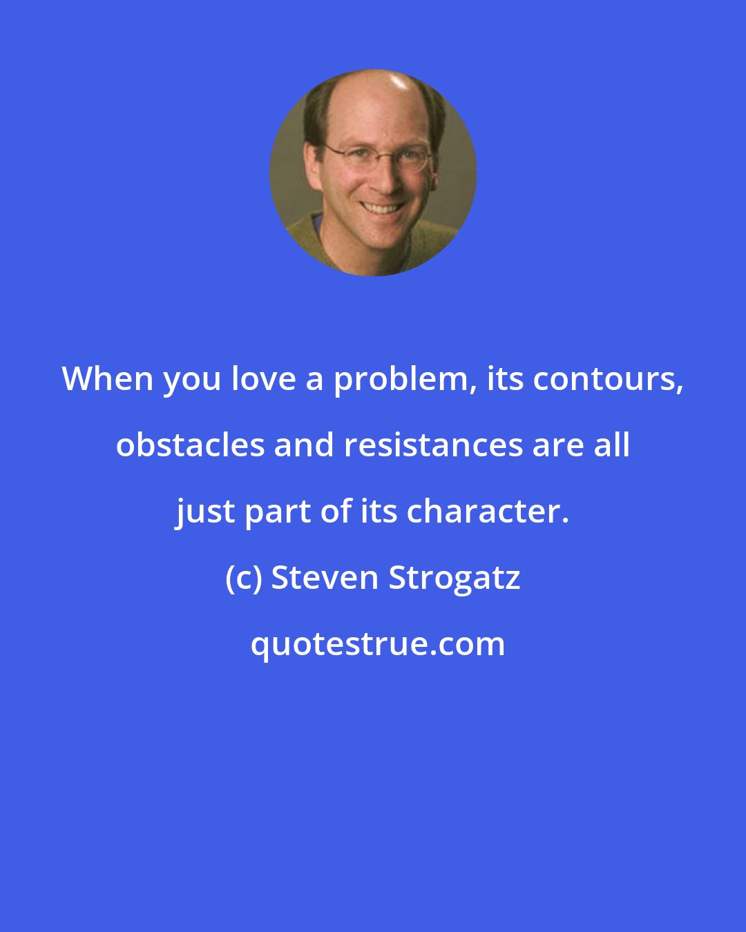 Steven Strogatz: When you love a problem, its contours, obstacles and resistances are all just part of its character.