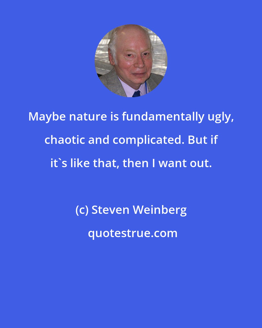 Steven Weinberg: Maybe nature is fundamentally ugly, chaotic and complicated. But if it's like that, then I want out.