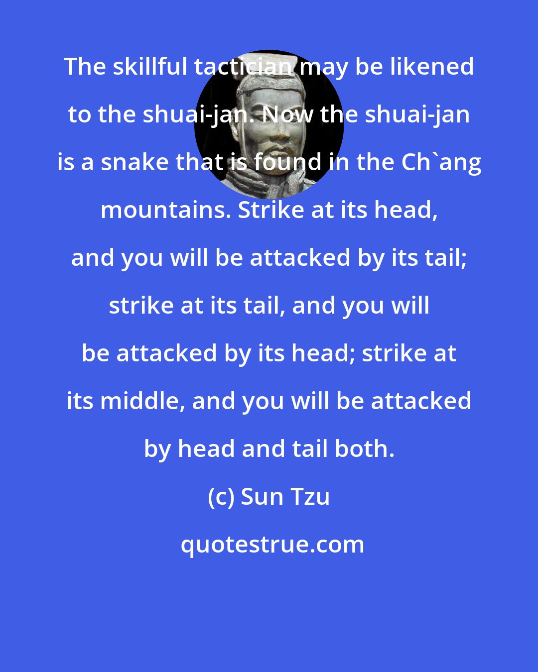 Sun Tzu: The skillful tactician may be likened to the shuai-jan. Now the shuai-jan is a snake that is found in the Ch'ang mountains. Strike at its head, and you will be attacked by its tail; strike at its tail, and you will be attacked by its head; strike at its middle, and you will be attacked by head and tail both.