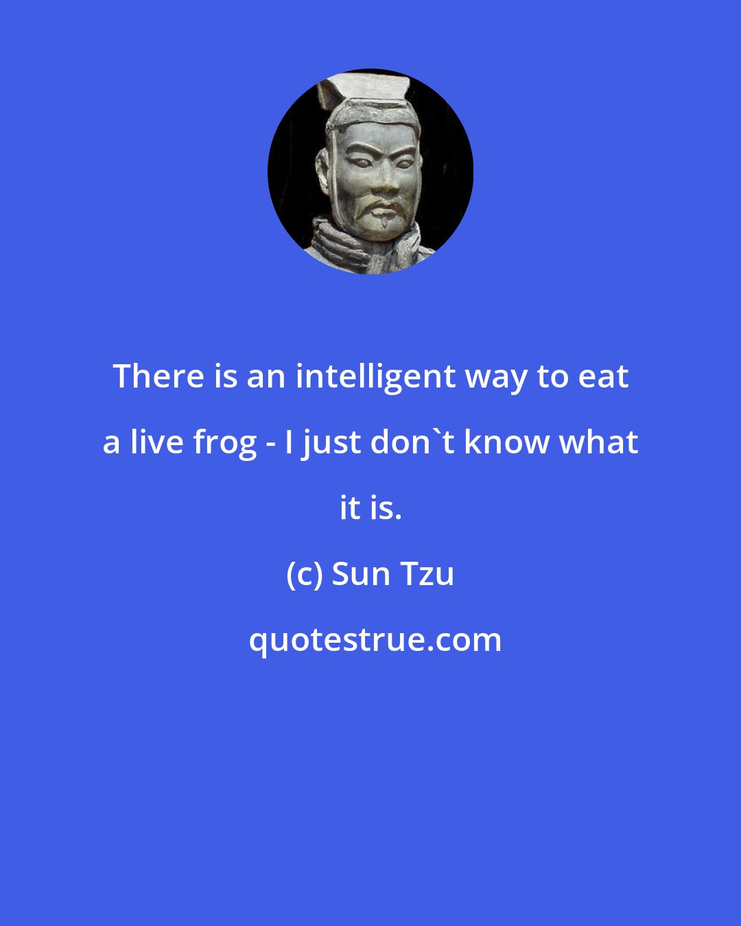 Sun Tzu: There is an intelligent way to eat a live frog - I just don't know what it is.