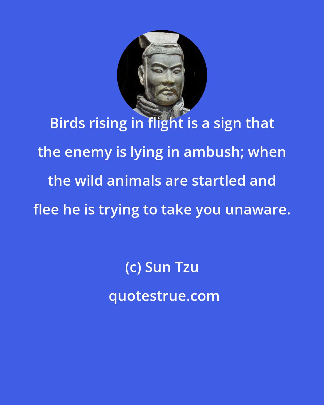 Sun Tzu: Birds rising in flight is a sign that the enemy is lying in ambush; when the wild animals are startled and flee he is trying to take you unaware.